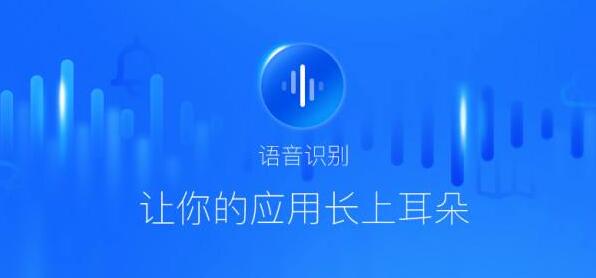 seo语音搜索